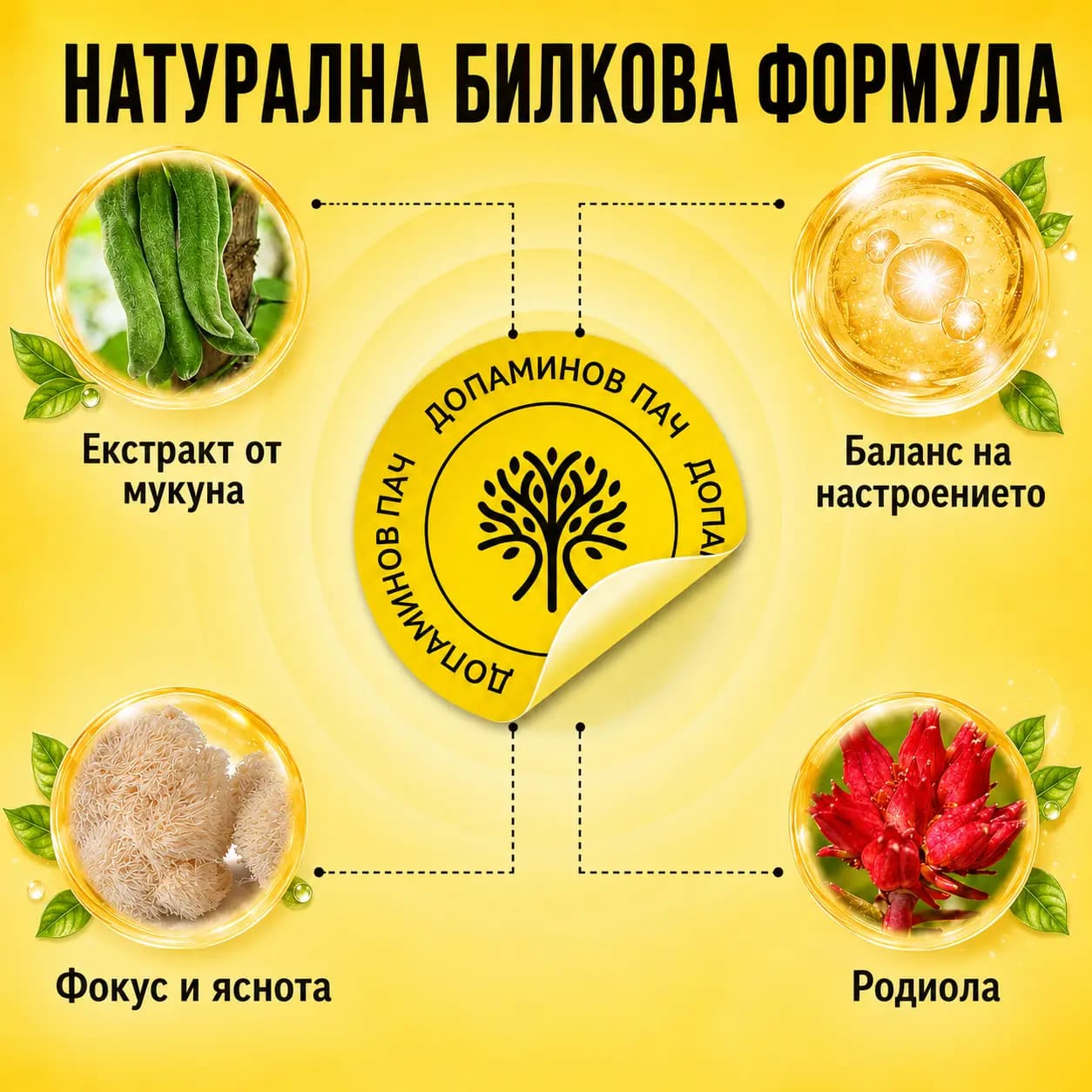 Ключови съставки на VitaPatch Допамин: мукуна пруриенс, 5-HTP, лъвска грива и родиола