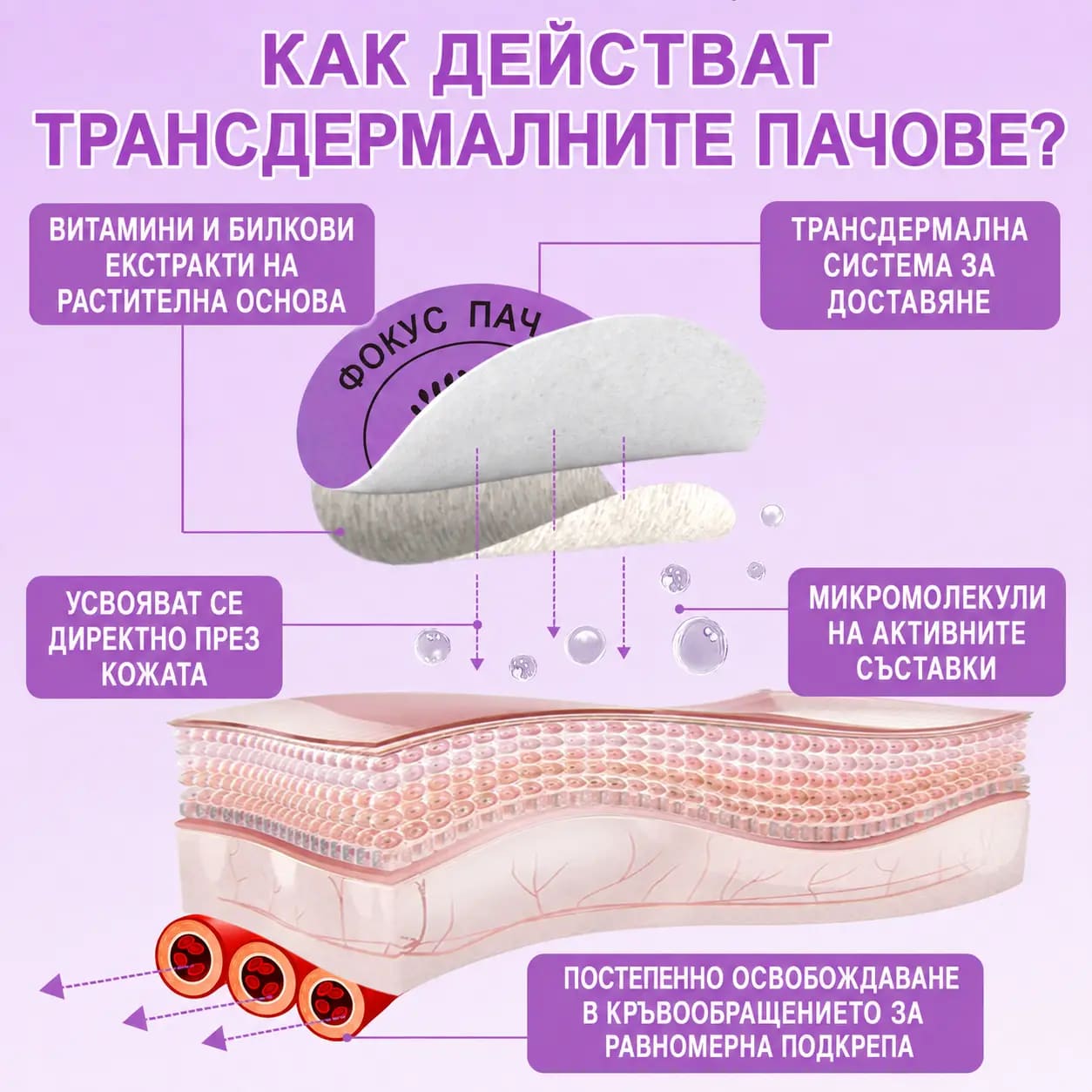 Схема как трансдермалният пач Фокус освобождава витамини и билкови екстракти през слоевете на кожата, постепенно и равномерно