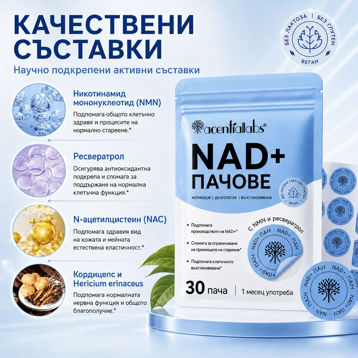 Ключови съставки на VitaPatch NAD+: NMN, ресвератрол, N-ацетилцистеин (NAC) и лъвска грива