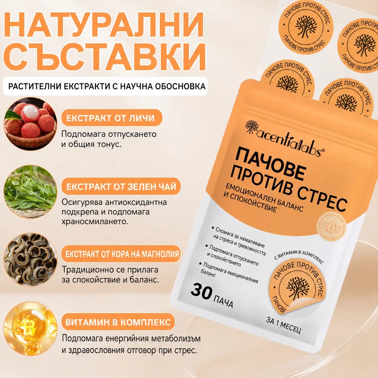 Ключови съставки на VitaPatch Stress Down: GABA, комплекс витамини B, ашваганда и зелен чай