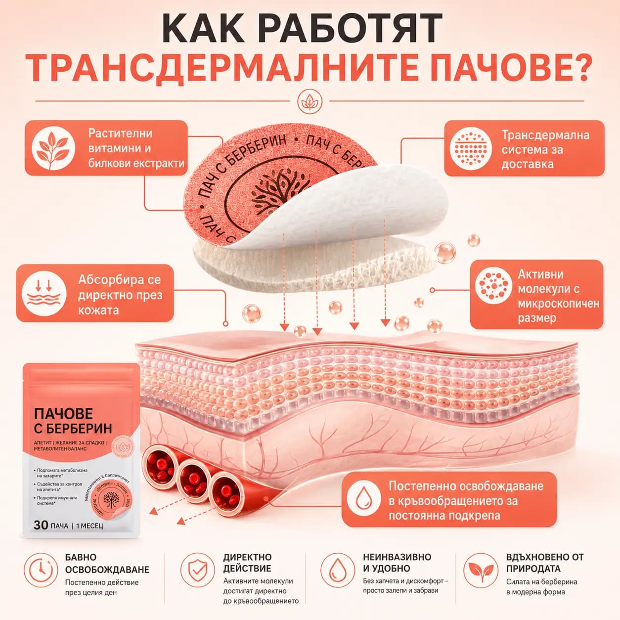 Схема как трансдермалният пач Berberine освобождава активните съставки постепенно през слоевете на кожата