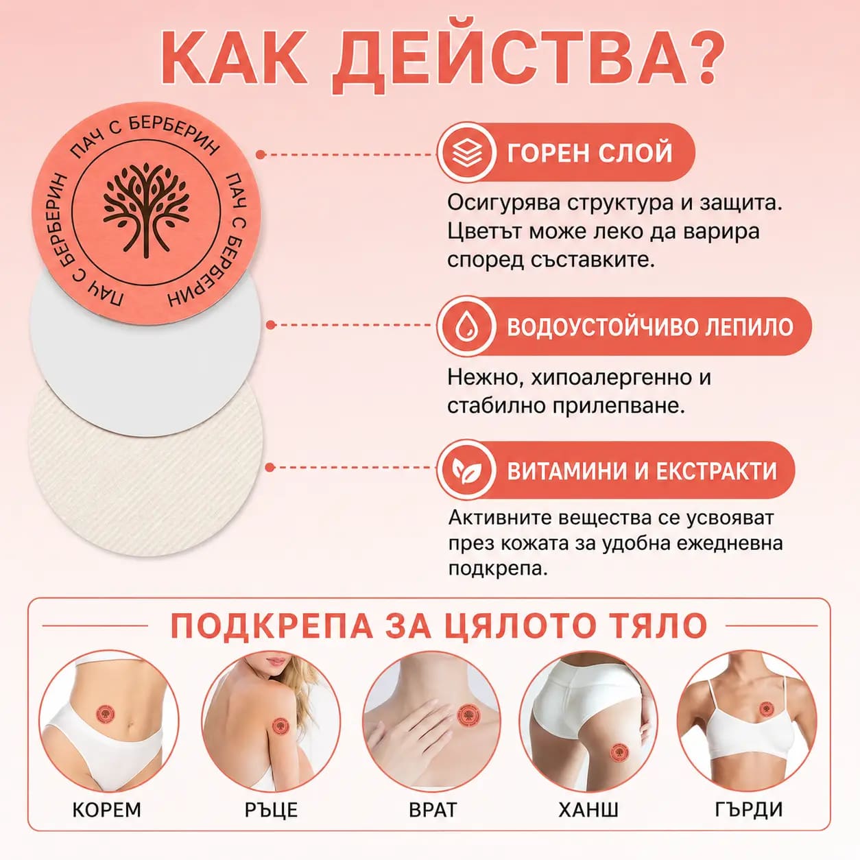 Трите слоя на пача Berberine и зоните от тялото, на които може да се постави — корем, ръце, врат, ханш, гърди