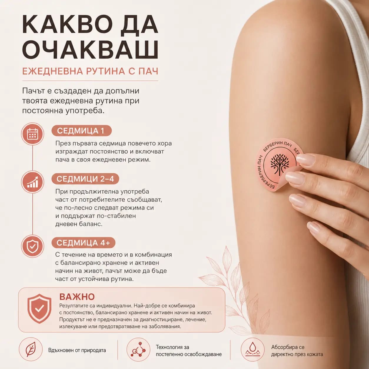 Какво да очакваш при редовна употреба на VitaPatch Berberine — реалистична времева линия