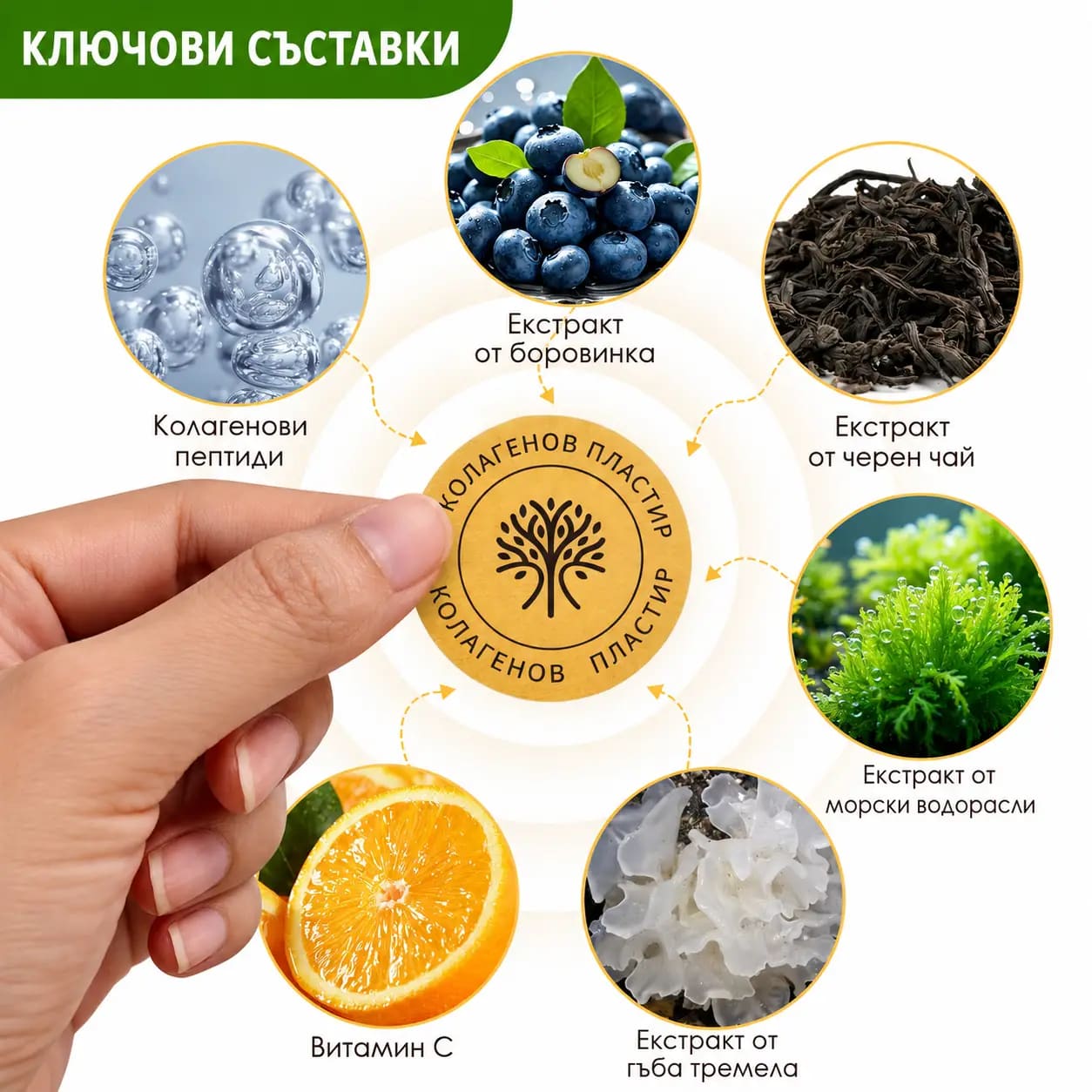 Ключови съставки на VitaPatch Колаген: морски водорасли, гъба Тремела, витамин C и колагенови пептиди