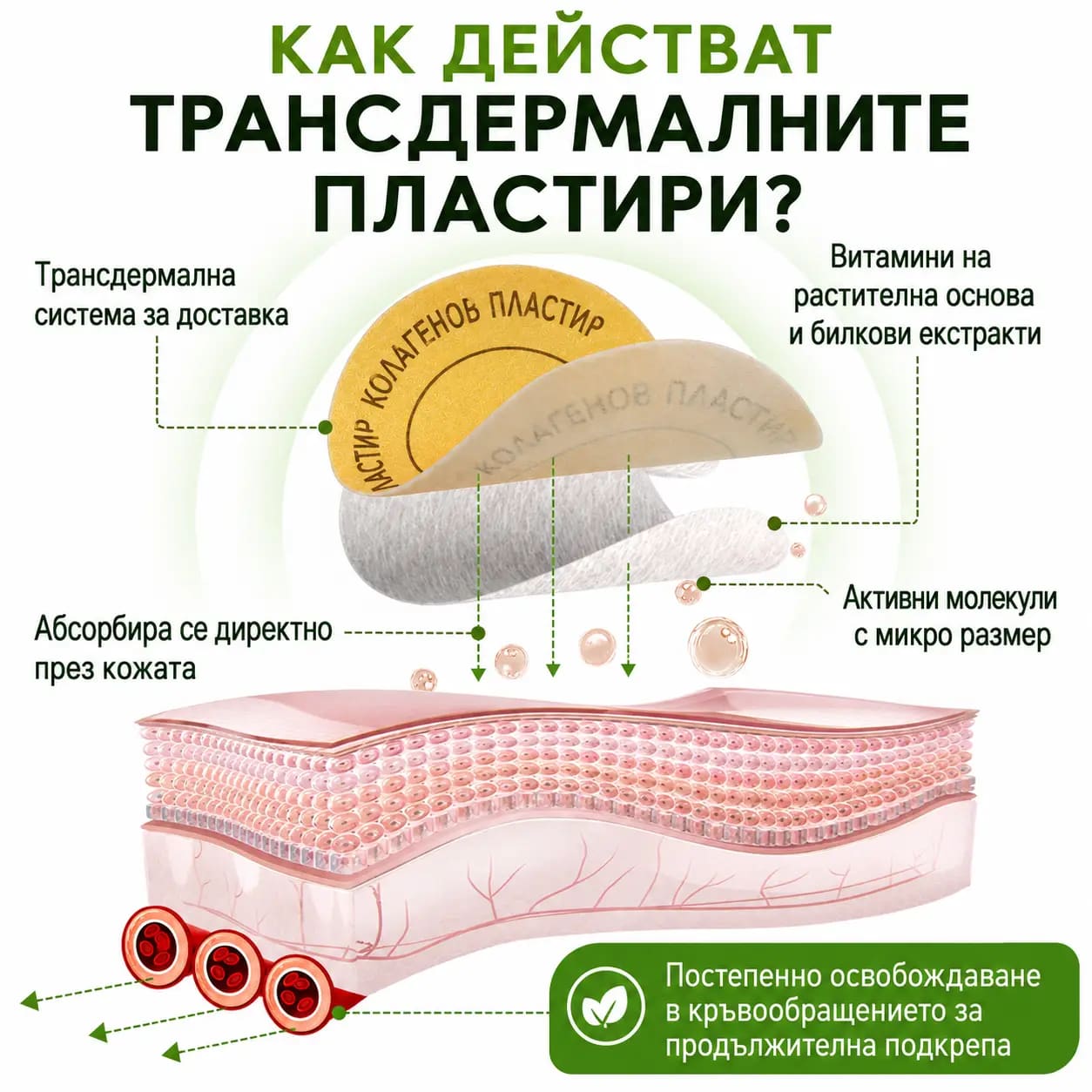 Схема как трансдермалният пач Колаген освобождава активните съставки постепенно през слоевете на кожата
